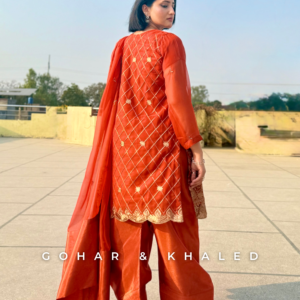 Chiffon Tilla Embroidered Dress 3Pc - Image 3