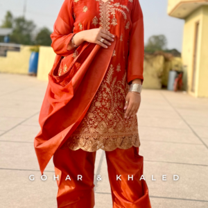 Chiffon Tilla Embroidered Dress 3Pc - Image 4