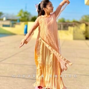 Crushed Fabric Silk & Net Maxi - Image 11