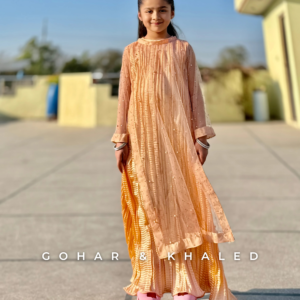 Crushed Fabric Silk & Net Maxi - Image 10